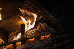 firewood10