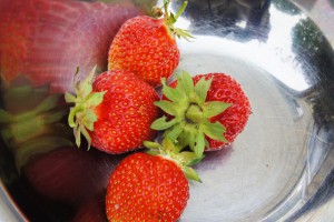 strawberry201512