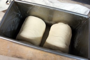 bread201502