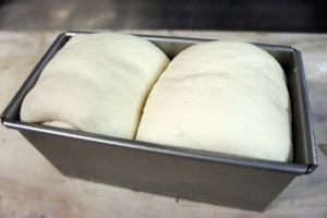 bread201503